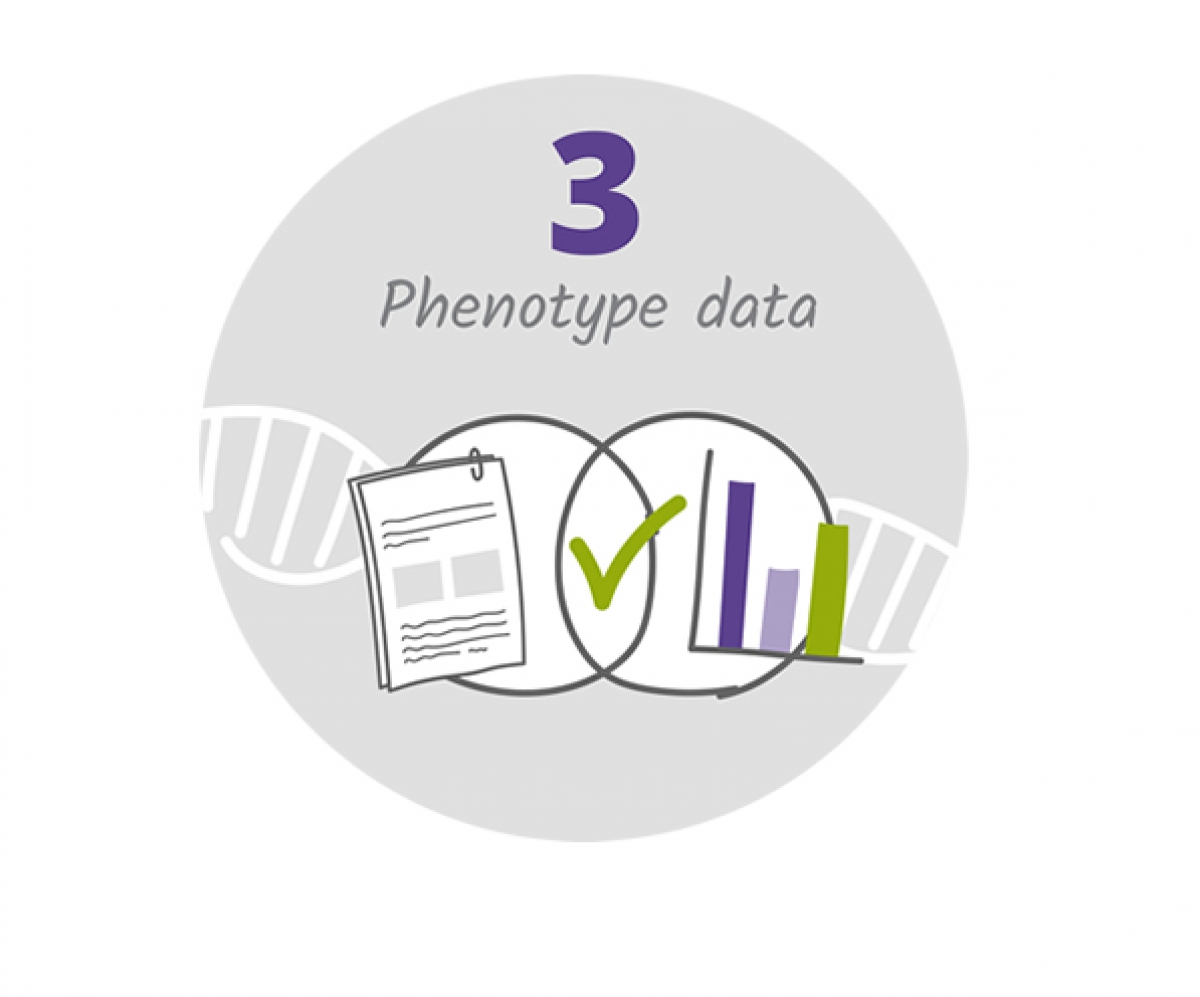 Phenotyping interface