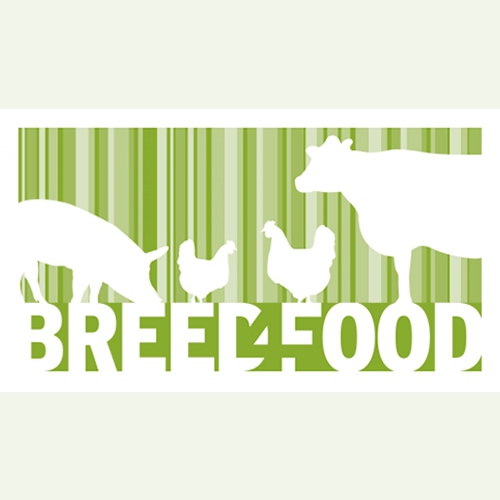 Breed4Food seminar: Utilizing DNA information and precision phenotyping