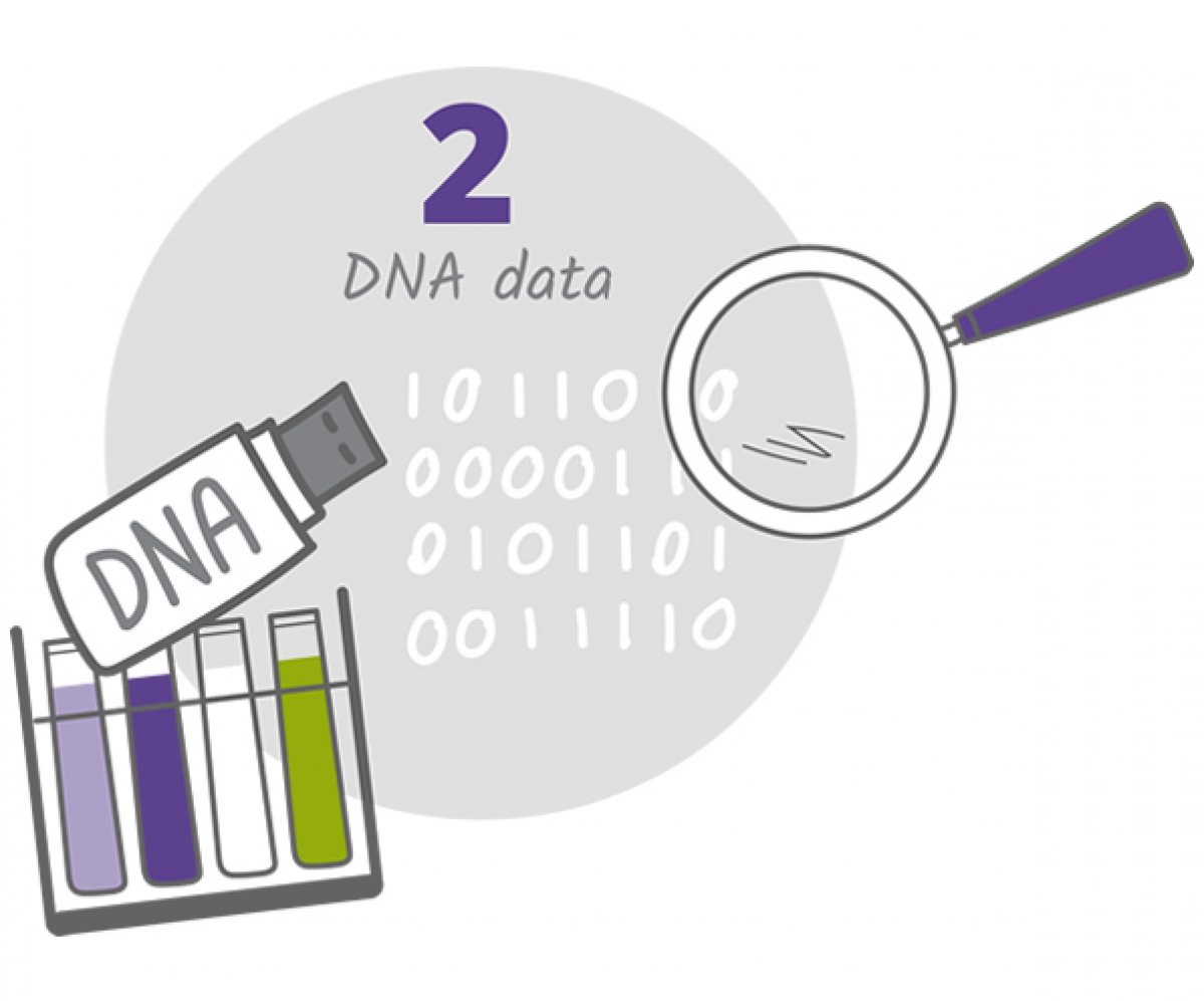 DNA informed breeding